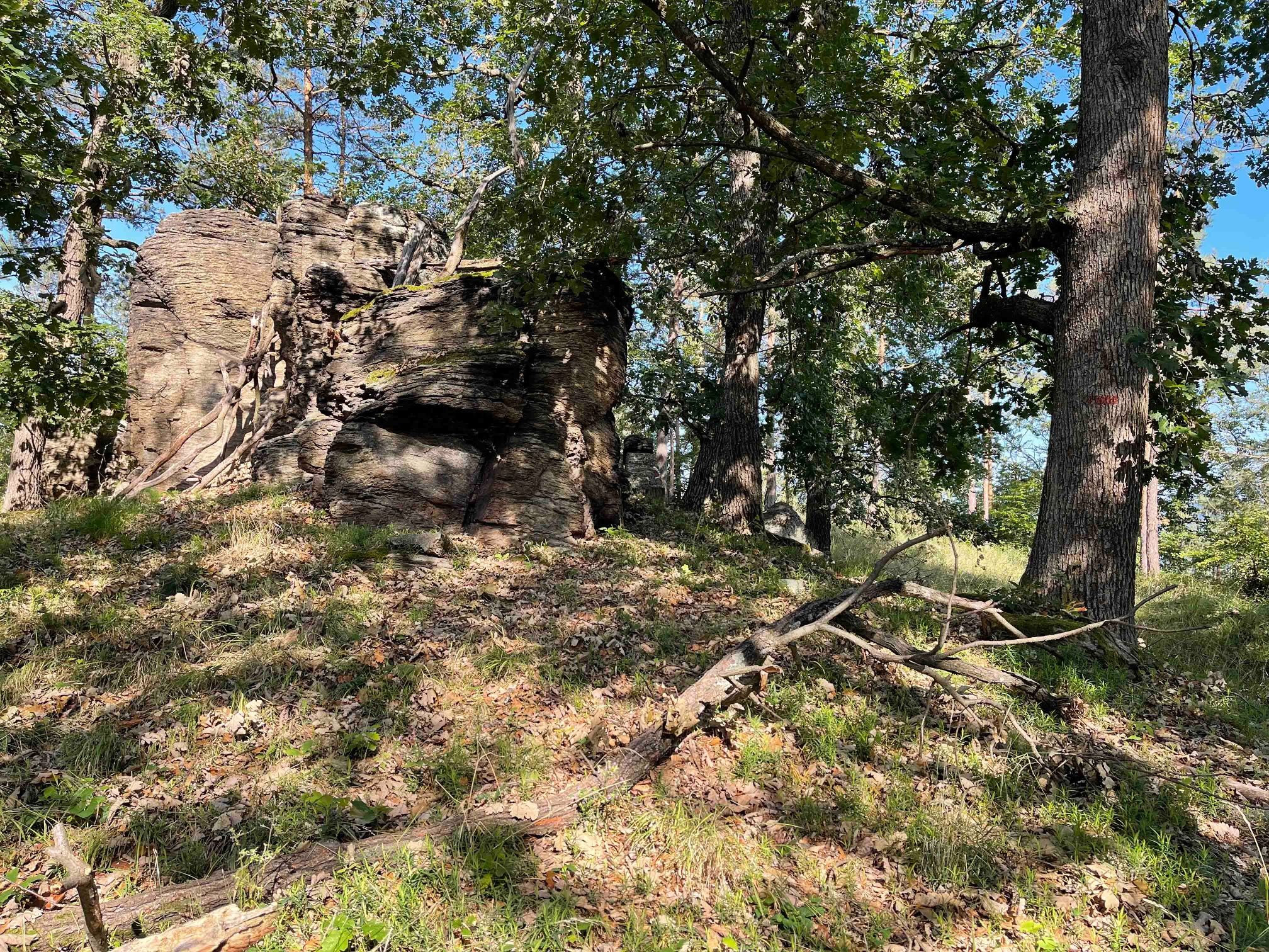 Entlang des Weges