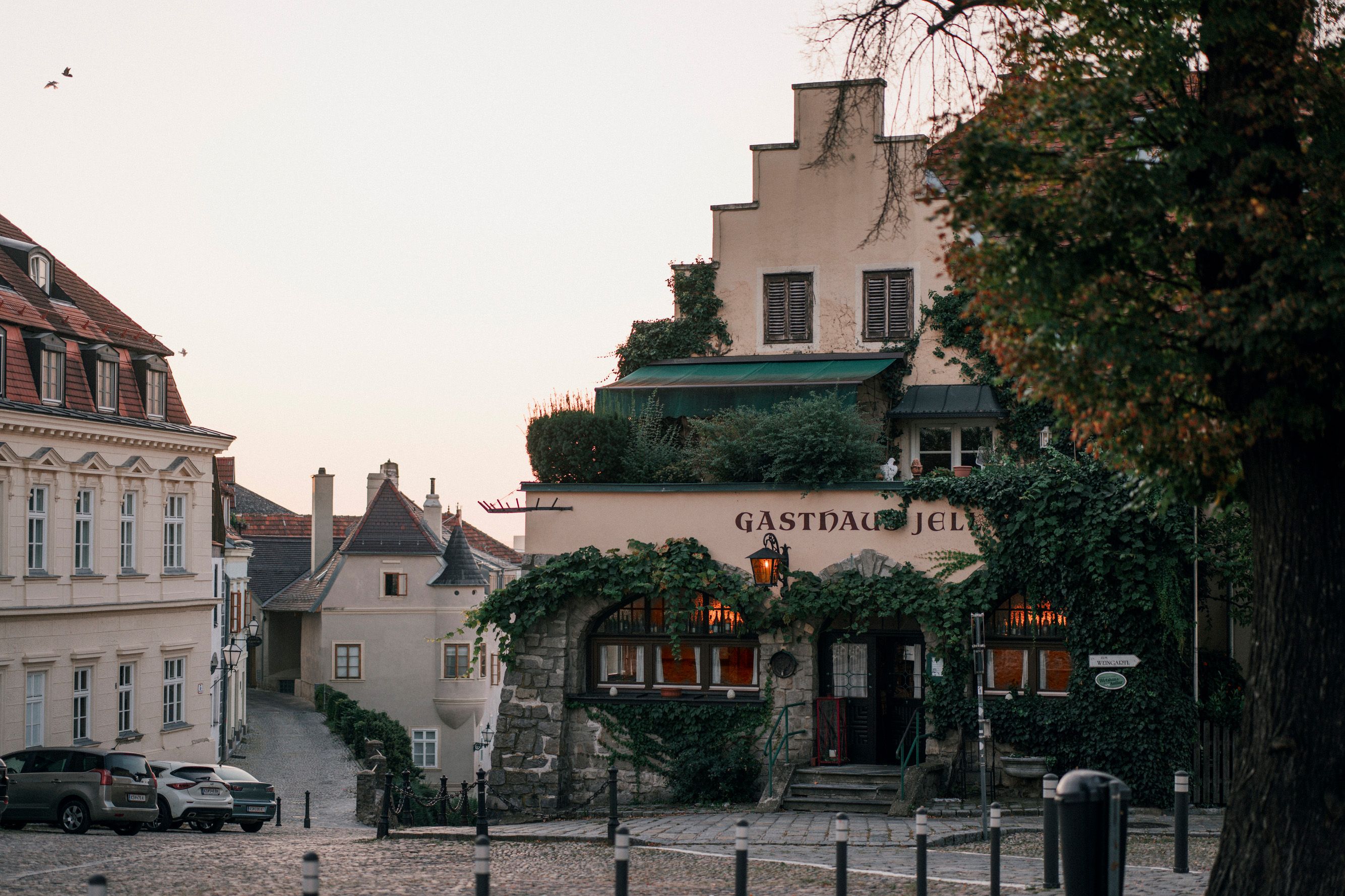 Historisches Gasthaus mit Efeu bewachsen, malerische Altstadtstraße.
