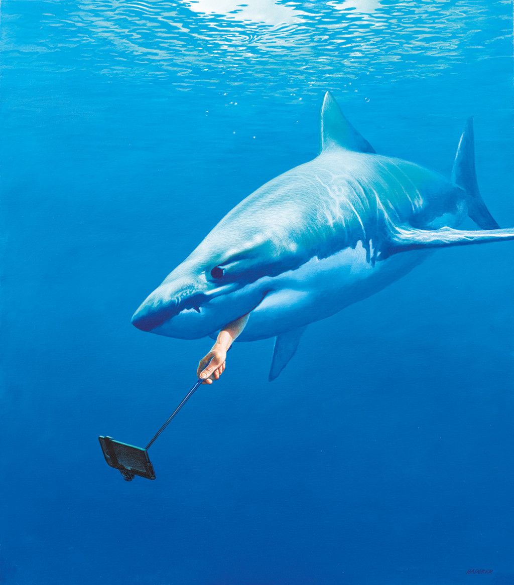 Gerhard Haderer, Selfie-Stick, 2020, Landessammlungen NÖ (c) Gerhard Haderer