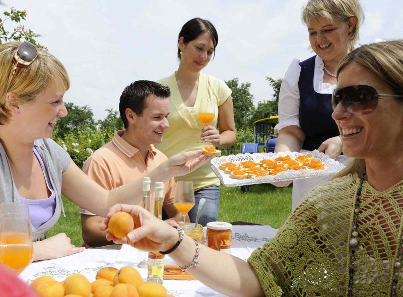 Gruppe von Menschen bei einer Verkostung von Marillenprodukten im Freien.