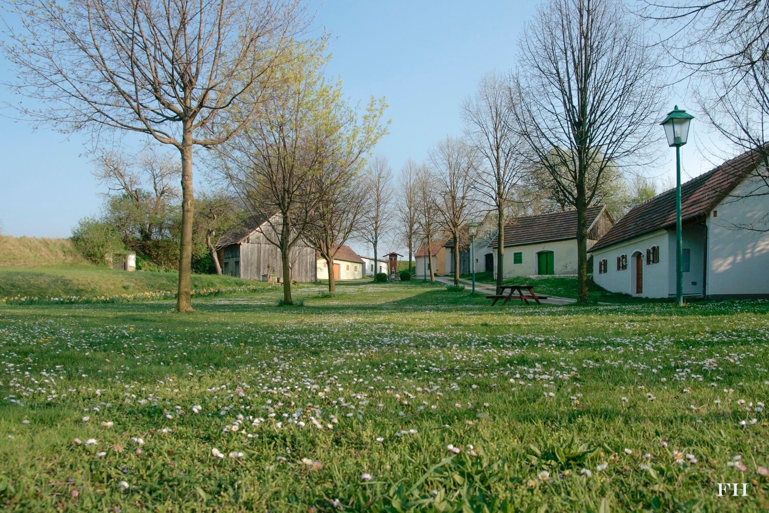 Blühende Wiesen