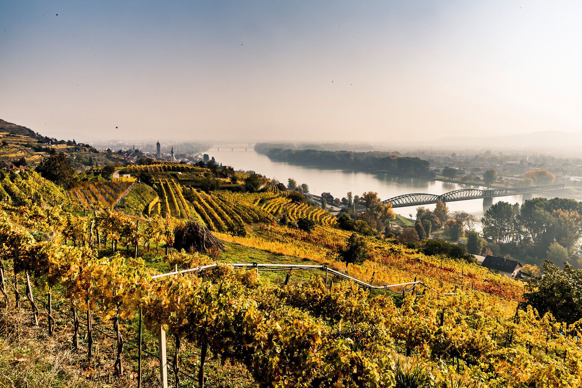 Die sanften Hügel der Weinberge erstrahlen im warmen Licht des Herbstes, während die Blätter in leuchtenden Gold- und Rottönen leuchten. Der ruhige Fluss schlängelt sich durch die malerische Landschaft und lädt zu einem entspannten Spaziergang ein, um die Schönheit der Natur zu genießen.