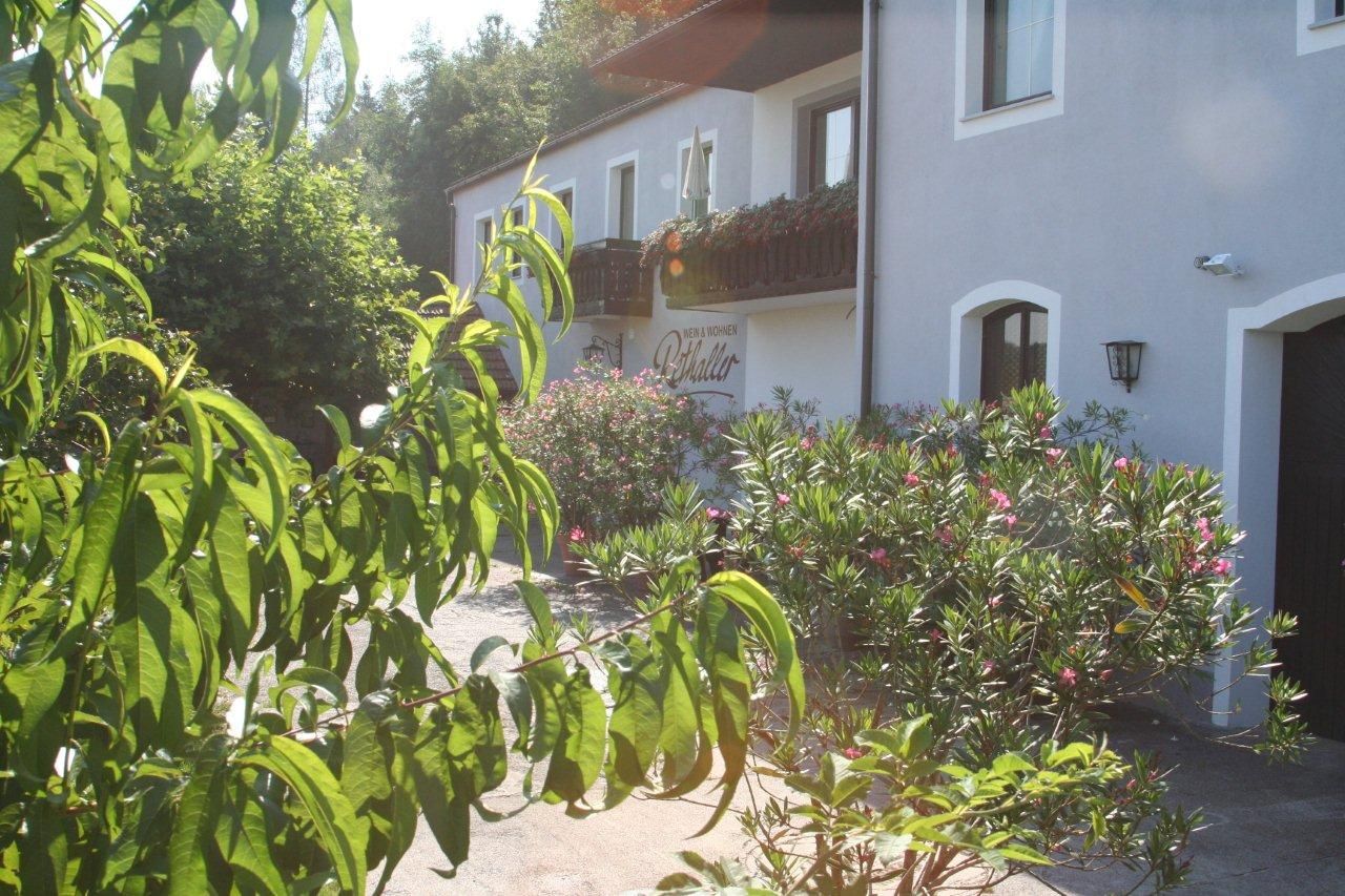 Außenansicht eines Gebäudes mit Balkon und blühenden Sträuchern im Vordergrund.