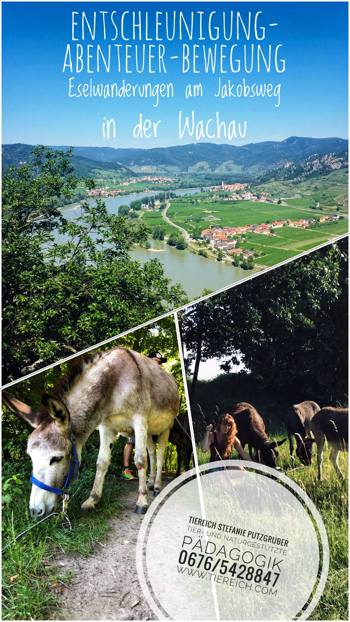 Flyer Eselwanderung