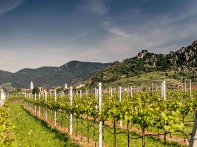 D&uuml;rnstein in spring, &copy; Robert Herbst