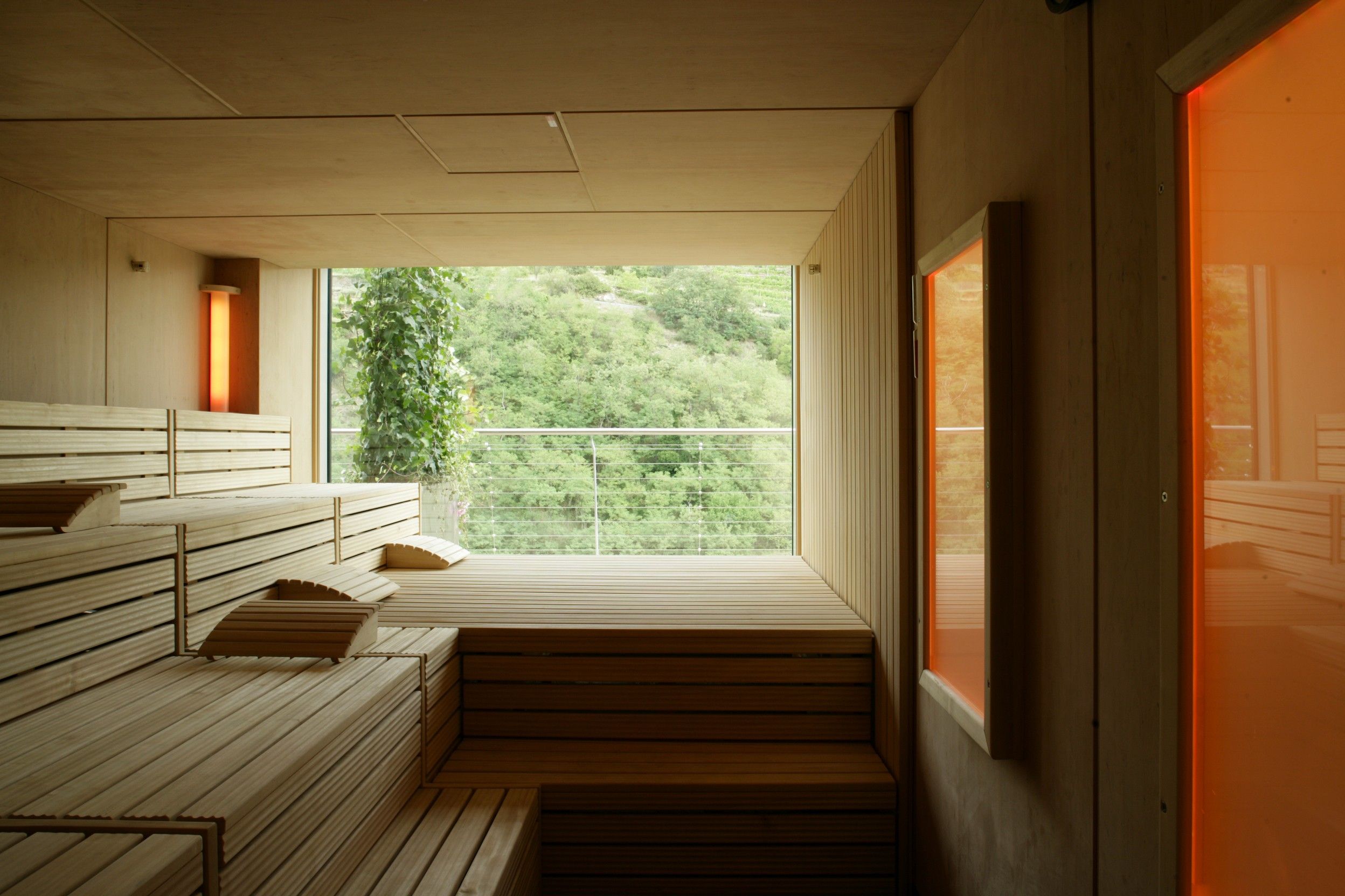 Innenansicht einer modernen Sauna mit Holzbänken und großem Fenster mit Blick auf grüne Landschaft.