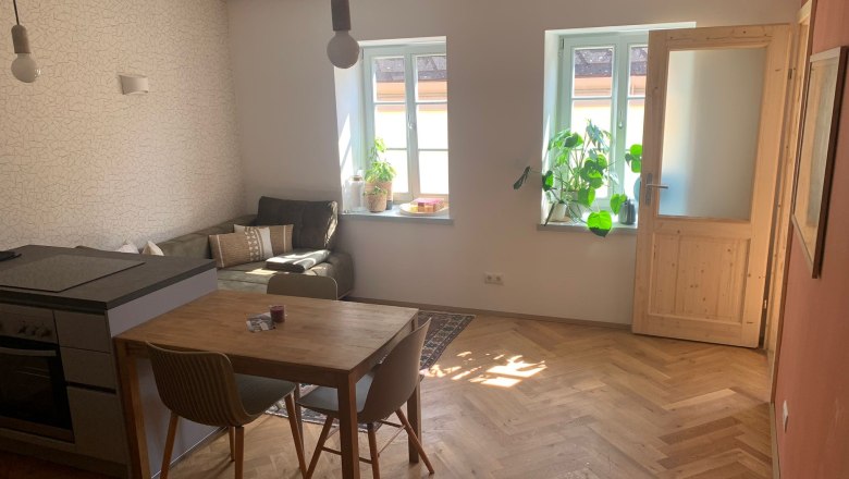 Bright living room with wooden floor, dining table, sofa and plants by the window.