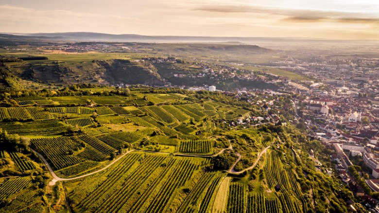 Krems - Wachtberg, &copy; Robert Herbst