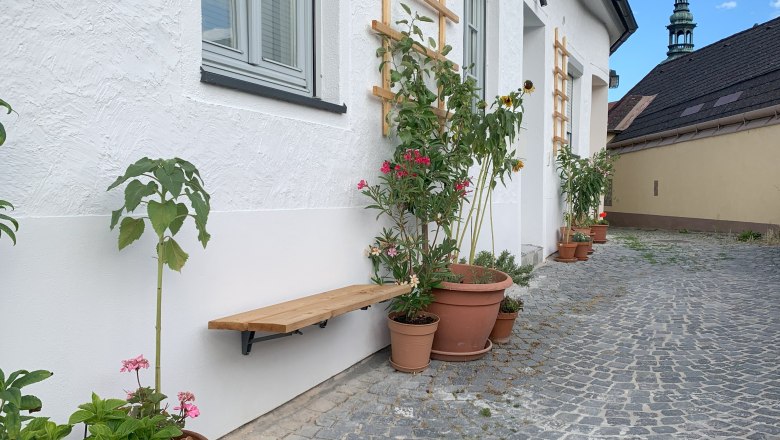 Paved path with potted plants in front of a white building.