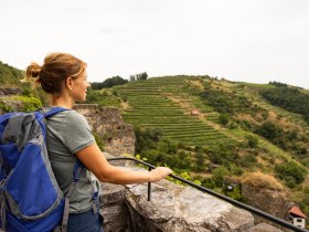 View from the Senftenberg ruins, &copy; Wachau-Nibelungengau-Kremstal