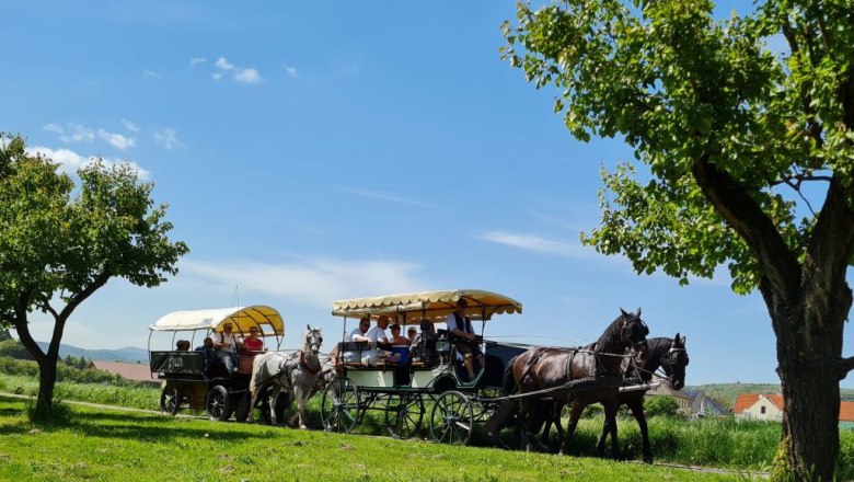 Kremser Fiaker Wolf Brothers, &copy; Kremser Fiaker Gebr&uuml;der Wolf