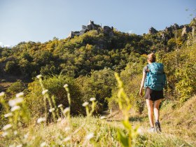Am Weg zur Ruine D&uuml;rnstein, &copy; Wachau-Nibelungengau-Kremstal