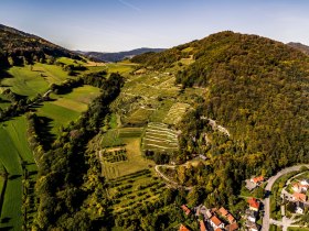 Ried Training, &copy; Wachau-Nibelungengau-Kremstal
