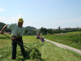 Heuarbeiten bei Maria Laach, &copy; Naturpark Jauerling-Wachau/Ronald W&uuml;rflinger