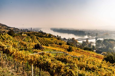 So viel Weinherbst, © Donau Niederösterreich, Robert Herbst