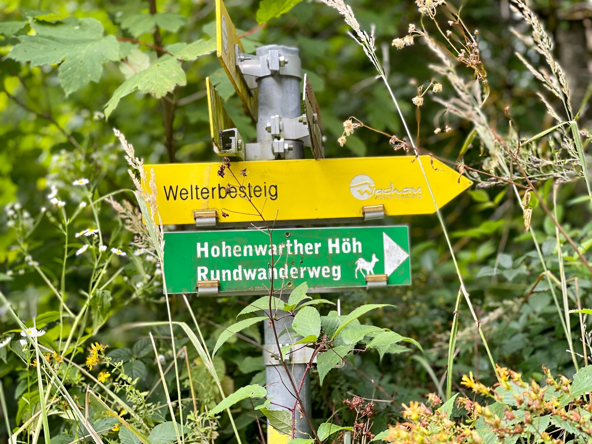 Markierung Hohenwarter Höh
