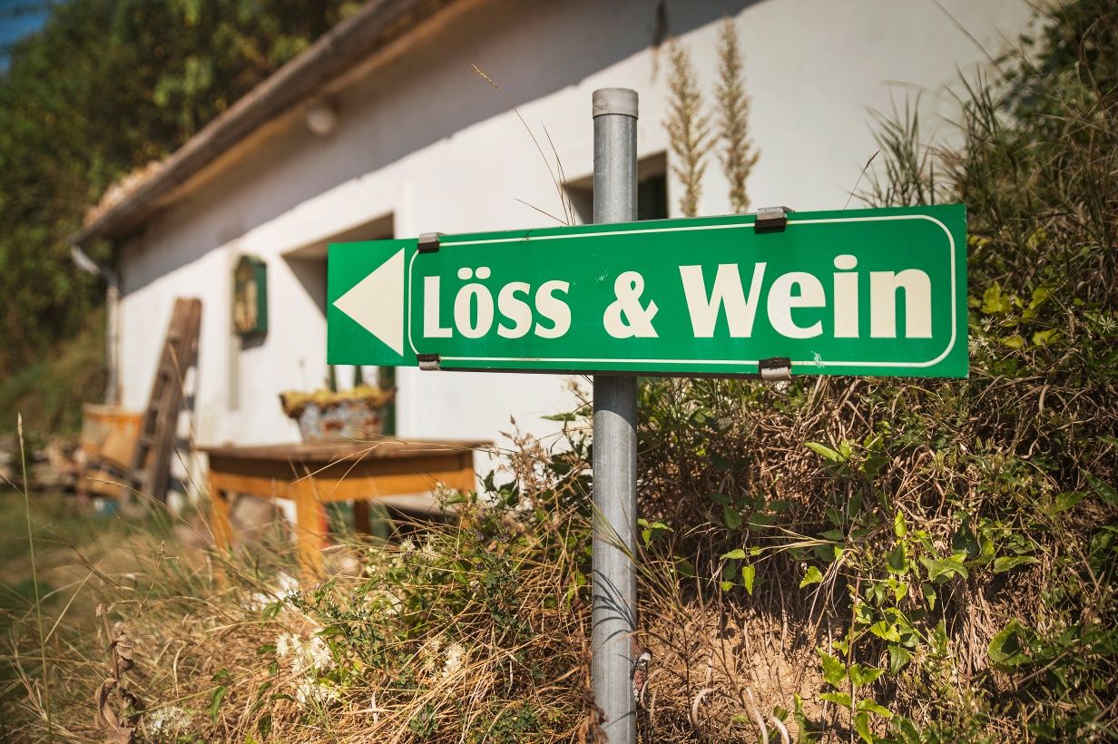 Furth, Löss und Wein