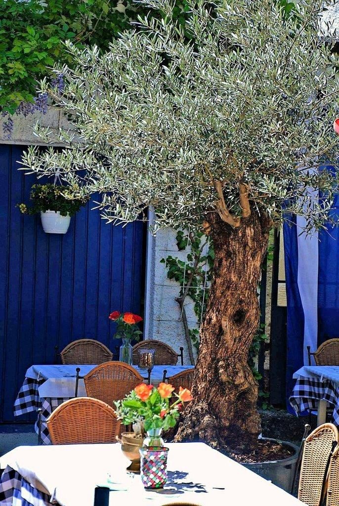 Taverne Zorbas