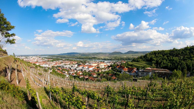 Wein Krems, &copy; Josef Salomon Photography