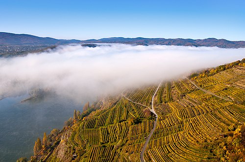 krems-stein_wachau_c_markus-haslinger-47, &copy; Markus Haslinger