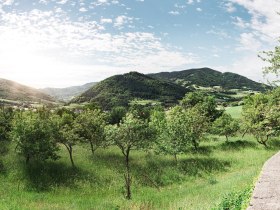 Jauerling Nature Park, &copy; Wachau-Nibelungengau-Kremstal