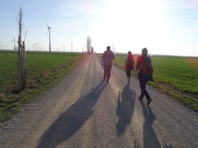 Hiking group on the Way of St. James, &copy; Donau Nieder&ouml;sterreich - Tourismusb&uuml;ro Carnuntum-Marchfeld