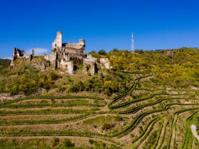Senftenberg castle ruins, &copy; Wachau-Nibelungengau-Kremstal