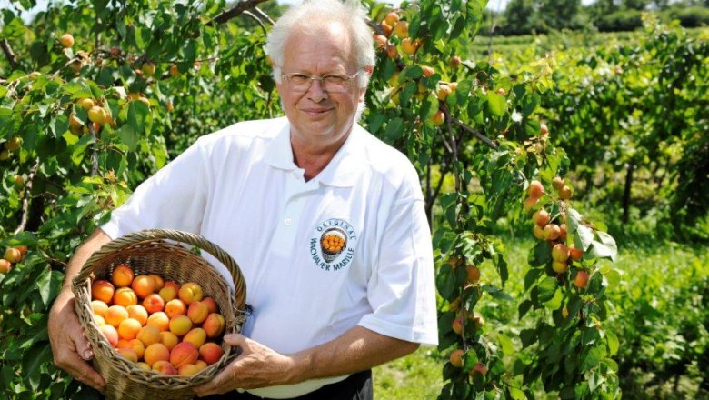 Mr. Koller, &copy; Steve Haider