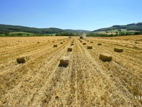 Meadows and fields line the path, &copy; Franz Haslinger