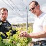 Two men in a vineyard, inspecting the vines.