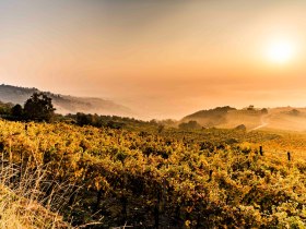Autumn landscape in Krems, &copy; Robert Herbst
