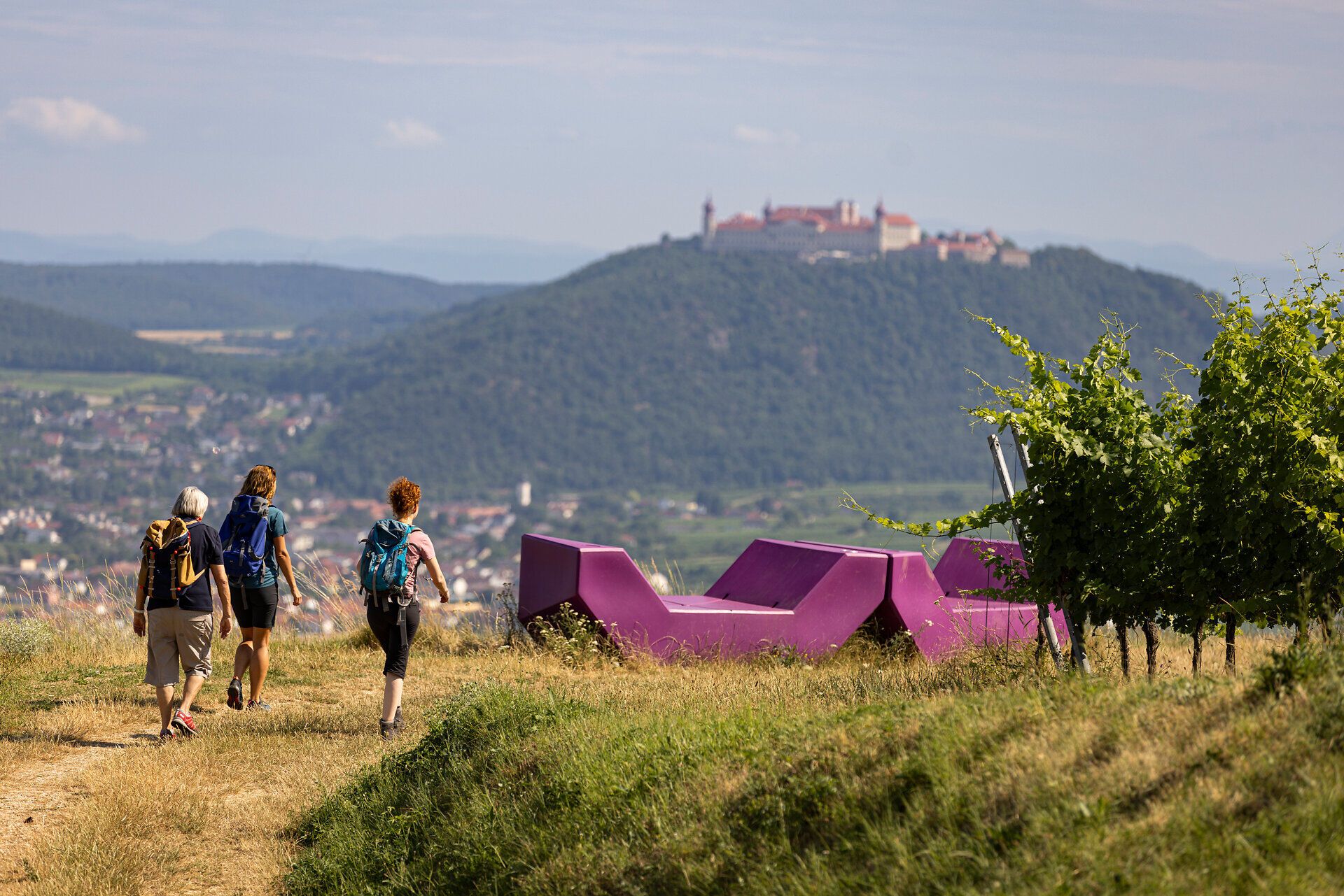 Ein malerischer Wanderweg führt durch sanfte Hügel, umgeben von üppigen Weinreben, die in der warmen Sonne glänzen. In der Ferne erhebt sich majestätisch eine historische Burg, die den Blick auf die idyllische Landschaft abrundet. Hier erleben Besucher die perfekte Kombination aus Natur und Kultur.