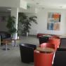 Modern lounge with colorful armchairs and plants.