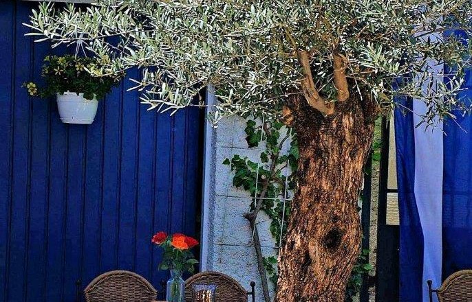 Taverne Zorbas, &copy; Taverne Zorbas