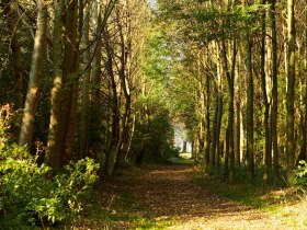 On the Lion Island off Melk, &copy; Stadt Melk