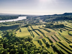 Weinrieden near Krustetten im Krems Valley ("Kremstal" in German), &copy; Wachau-Nibelungengau-Kremstal
