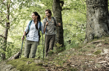 Jakobsweg, © DonauNiederösterreich, Steve Haider