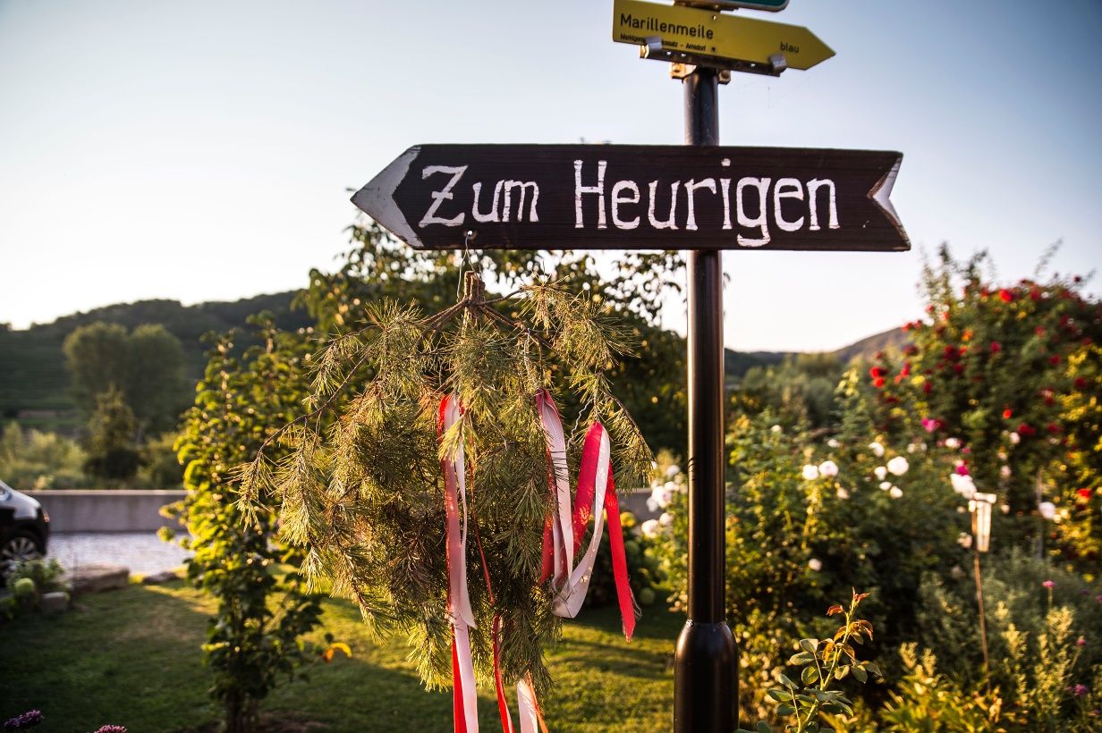 Zum Heurigen in Rossatz-Arnsdorf