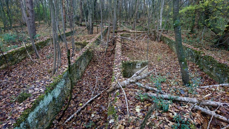 Foundation walls of barracks of the STALAG XVII B camp, &copy; Edith Blaschitz