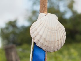 Scallop shell, &copy; Weinviertel Tourismus / Lahofer