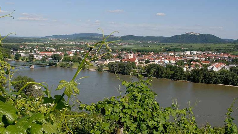 View from Pfaffenberg to Mautern with river and vineyards in the foreground.