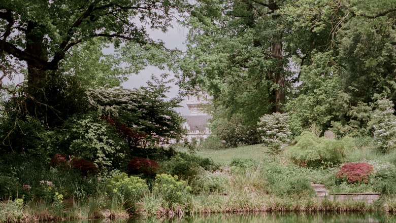 A pond in the castle park with lush vegetation and a castle in the background.