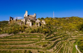 Burgruine Senftenberg, &copy; Wachau-Nibelungengau-Kremstal