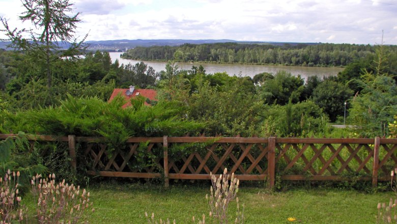Landscape with river, trees and wooden fence in the foreground.