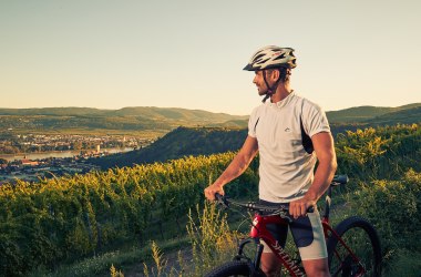 Radweg, © Stadtmarketing Krems/Andreas Hofer