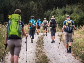 Through forest and meadow, &copy; Wachau-Nibelungengau-Kremstal