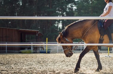 Reiten, © Stadtmarketing Krems