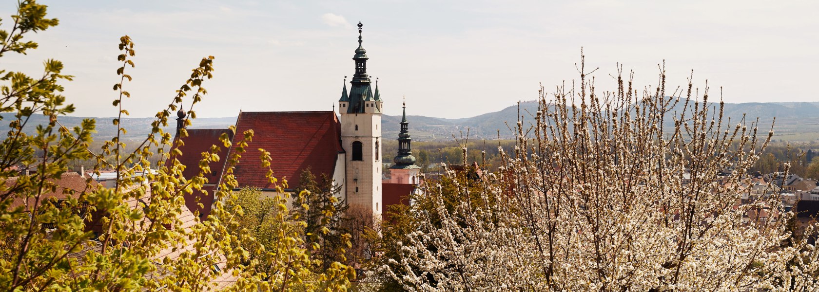 So viel Fr&uuml;hling