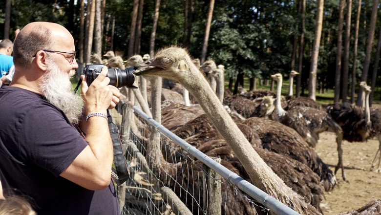 dscf1110_web, &copy; Strau&szlig;enland