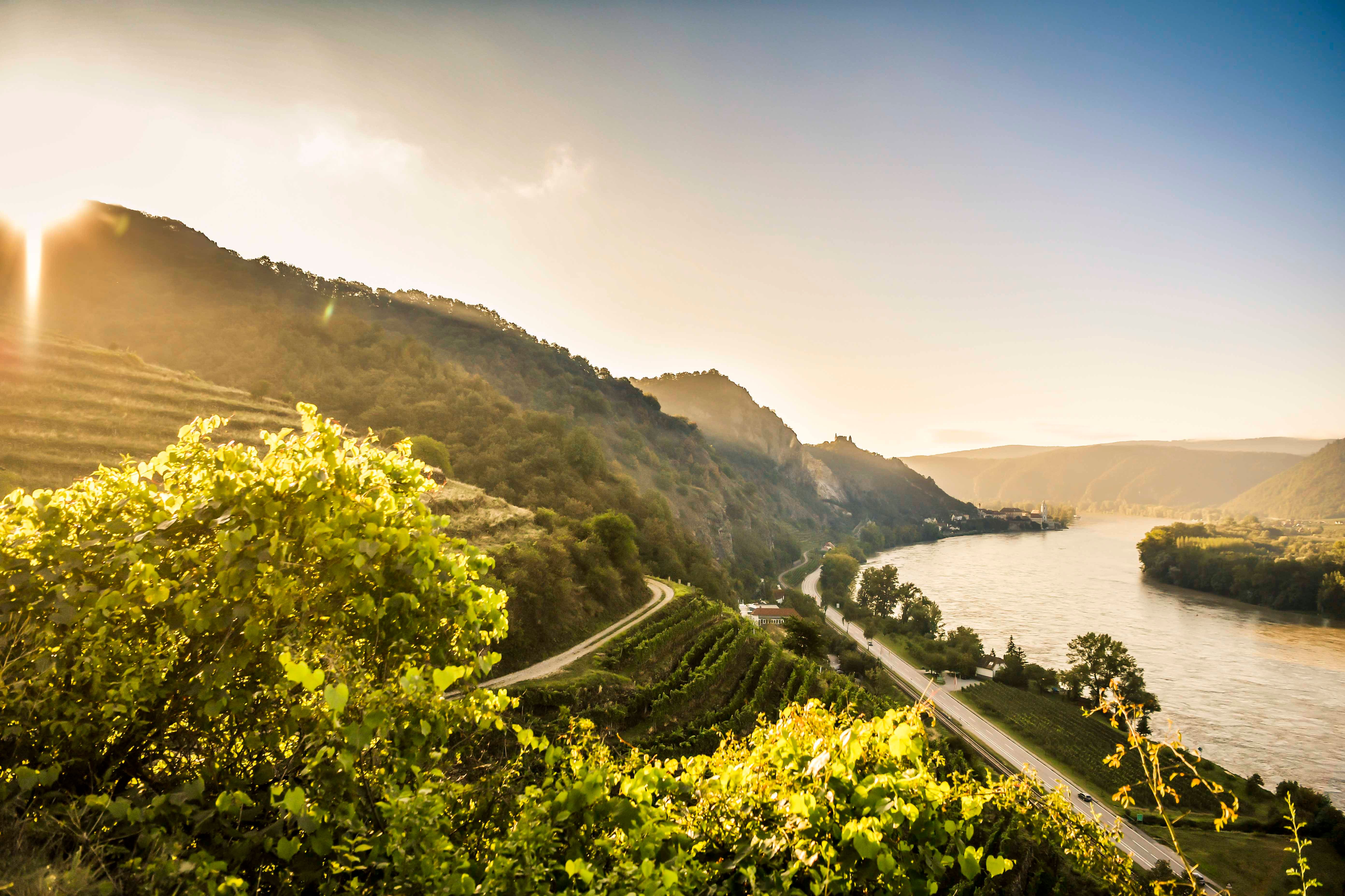 Dürnstein Landschaft